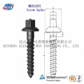 C Screw Spike, Rail Accessories